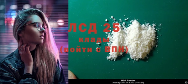 прущие грибы Анжеро-Судженск