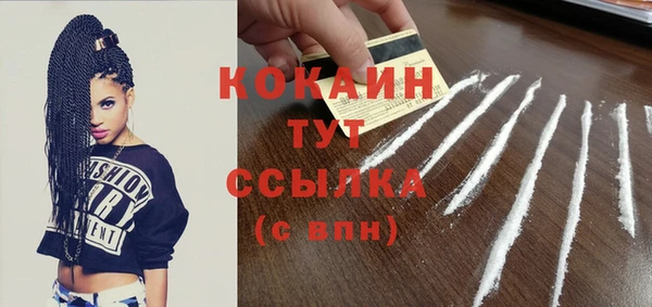 прущие грибы Анжеро-Судженск