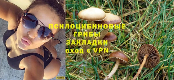 PSILOCYBIN Горняк