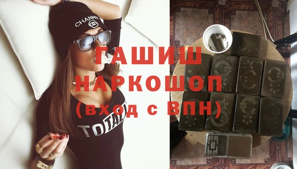 прущие грибы Медногорск