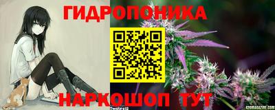 спайс Гусев