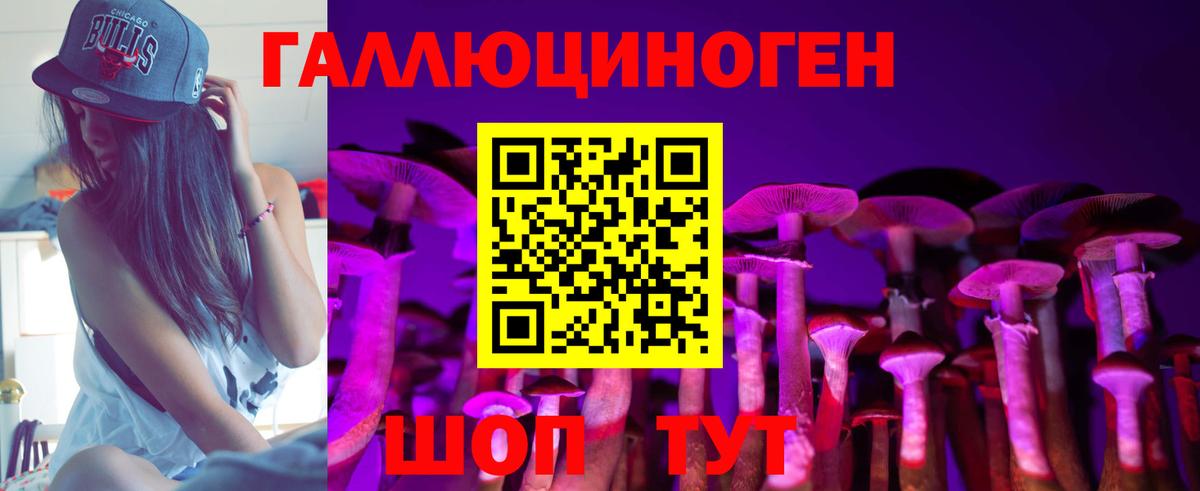 Кропоткин  Галлюциногенные грибы Psilocybine cubensis  Вход с VPN 